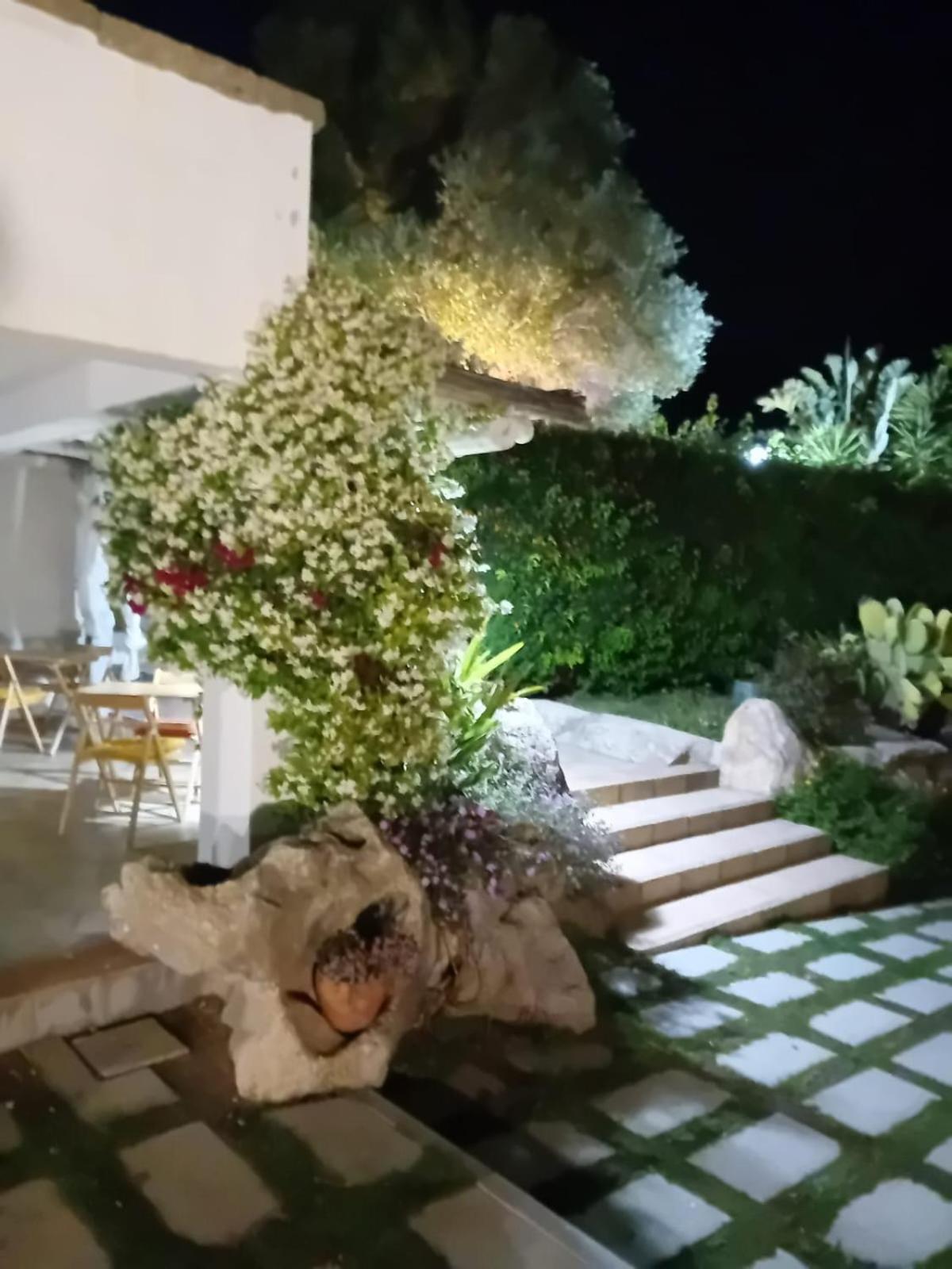 Li Petri Manni Bed and Breakfast Όλμπια Εξωτερικό φωτογραφία